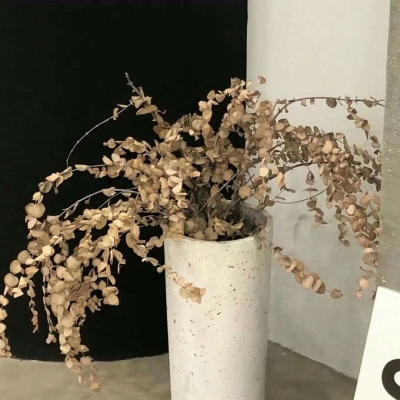 兽设森林场景设计兽圈社群